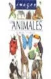 AudioLibro Imagen Descubre el Mundo: Los Animales de D Y Loget, C Beck
