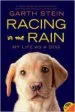 AudioLibro Racing in the Rain: My Life as a dog de Garth Stein