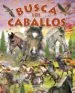 AudioLibro Busca los Caballos y Ponis de Varios Autores