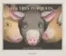 AudioLibro Els Tres Porquets de David Wiesner