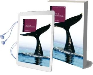 Descargar AudioLibro La Isla de Nuncameolvides de Ricardo Gomez año 2004