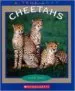 AudioLibro Cheetahs de Ann O Squire