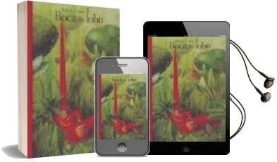 Descargar AudioLibro Boca de Lobo de Fabian Negrin año 2005