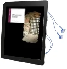 Descargar AudioLibro Mi Hermano Etienne de Oscar Esquivias año 2007