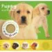 AudioLibro Touch, Feel & Listen-Puppy and Friends de Varios Autores
