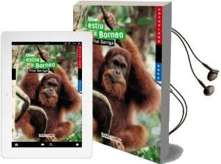Descargar AudioLibro Un Estiu a Borneo de Pilar Garriga año 2007