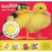 AudioLibro Touch, Feel & Listen-Duckly and Friends de Varios Autores
