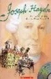 AudioLibro Joseph Haydn (Cd-Rom) de Winfried Opgenoorth