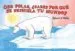 AudioLibro Oso Polar, ¿Sabes por que se Deshiela tu Mundo? de Robert E. Wells