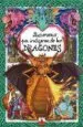 AudioLibro Dragones: Diccionario por Imagenes de Emilie Beaumont