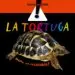AudioLibro La Tortuga de Elisenda Queralt
