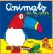 AudioLibro Animals de la Selva de Varios Autores