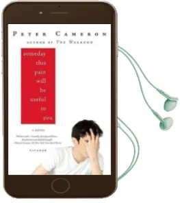 Descargar AudioLibro Someday This Pain Will be Useful to you de Peter Cameron año 2009