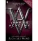 AudioLibro Vampire Academy 1 de Richelle Mead