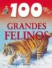 AudioLibro Grandes Felinos de Varios Autores