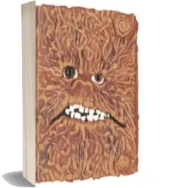 Descargar AudioLibro El meu Diari del mon Magic de Varios Autores año 2009