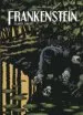 AudioLibro Frankenstein ii de Mary Shelley