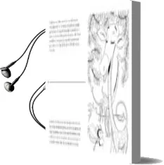 Descargar AudioLibro L Abella Secallona de Varios Autores año 2009