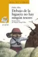 AudioLibro Debajo de la Higuera no hay Ningun Tesoro de Pablo Albo