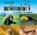 AudioLibro El meu Petit Animalari: La Jungla i la Sabana de Varios Autores