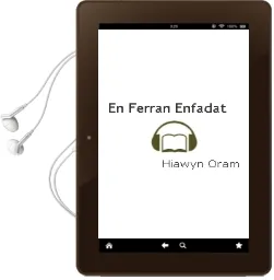 Descargar AudioLibro En Ferran Enfadat de Hiawyn Oram año 2010