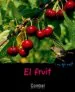 AudioLibro (Pe) el Fruit: Qui ets? de Valerie Guidoux