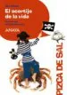 AudioLibro El Acertijo de la Vida de Ana Alonso
