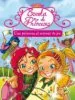 AudioLibro Escola de Princeses: Una Princesa al Terreny de joc de Jane B. Mason