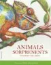 AudioLibro Animals Sorprenents de Rachel Williams