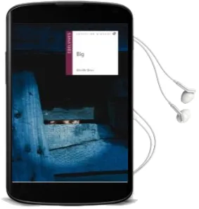 Descargar AudioLibro Big de Mireille Geus año 2011