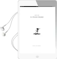 Descargar AudioLibro El Pajaro Negro de Suzy Lee año 2011