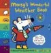 AudioLibro Maisy s Wonderful Weather Book de Lucy Cousins