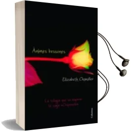 Descargar AudioLibro Animes Bessones de Elizabeth Chandler año 2012
