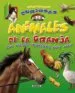 AudioLibro Animales de la Granja (Ventanas Curiosas) de Varios Autores