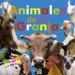 AudioLibro Animales de la Granja (Despliega y Aprende) de Varios Autores