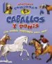 AudioLibro Caballos y Ponis (Ventanas Curiosas) de Varios Autores