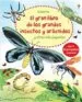 AudioLibro Gran Libro Grandes Insectos de Emily Bone