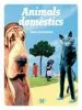 AudioLibro Animals Domèstics de Jean Lacointre