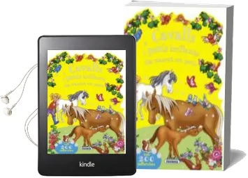 Descargar AudioLibro El Llibre del Semafor (Llibre Electronic) de Varios Autores año 2013