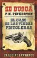 AudioLibro Se Busca P.K.Pinkerton: El Caso de las Viudas Pistoleras de Varios Autores