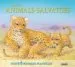 AudioLibro Petits Animals Salvatges (+ 6 Plantilles) de Varios Autores