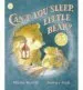 AudioLibro Can t you Sleep, Little Bear? de Martin Waddell
