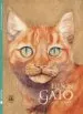 AudioLibro Eu son Gato (Gallego) de Jackie Morris