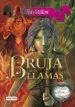 AudioLibro Princesas del Reino de la Fantasia 8: Bruja de las Llamas de Tea Stilton