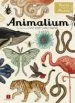 AudioLibro Animalium de Jenny Broom