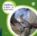AudioLibro Animals de Bosc i de Muntanya de Varios Autores
