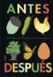 AudioLibro Antes. Despues de Anne Margot Ramstein