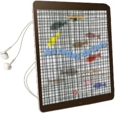 Descargar AudioLibro As Redes de Ines de Elvira Riveiro Tobio año 2014