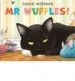 AudioLibro Mr Wuffles! de David Wiesner
