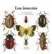 AudioLibro Los Insectos de Fernando Bort Misol